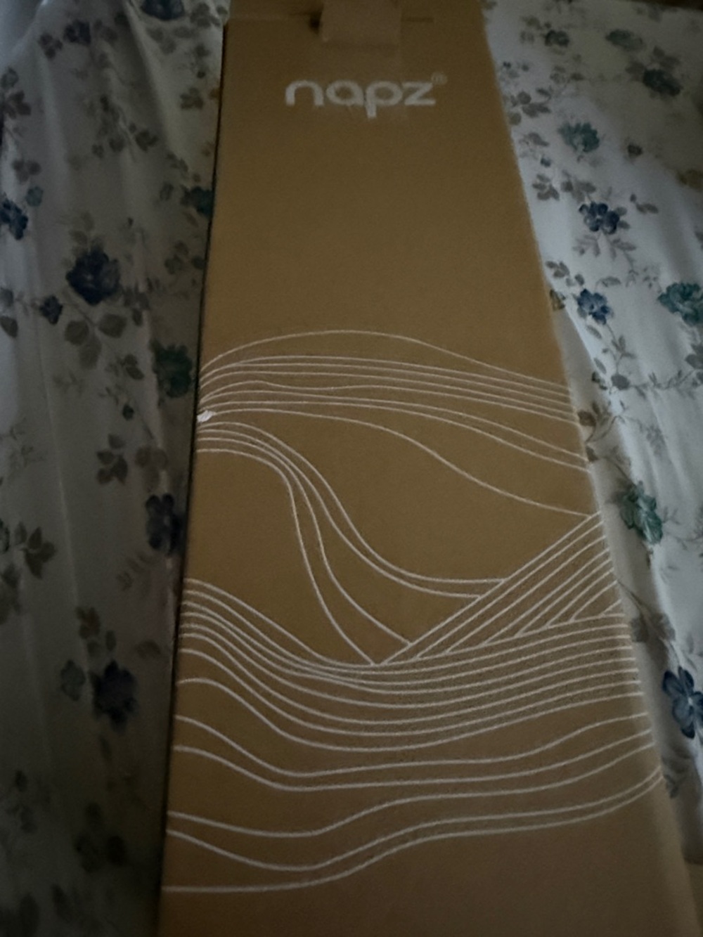 Naps pregnancy pillow